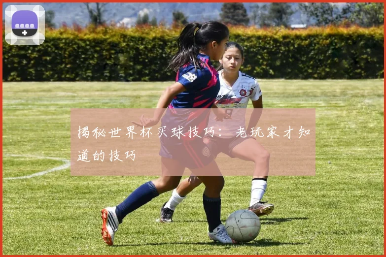揭秘世界杯买球技巧：老玩家才知道的技巧